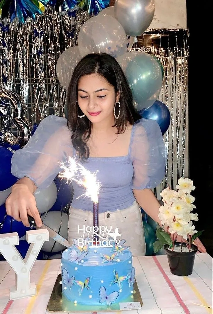 Blue Butterfly Birthday Celebration