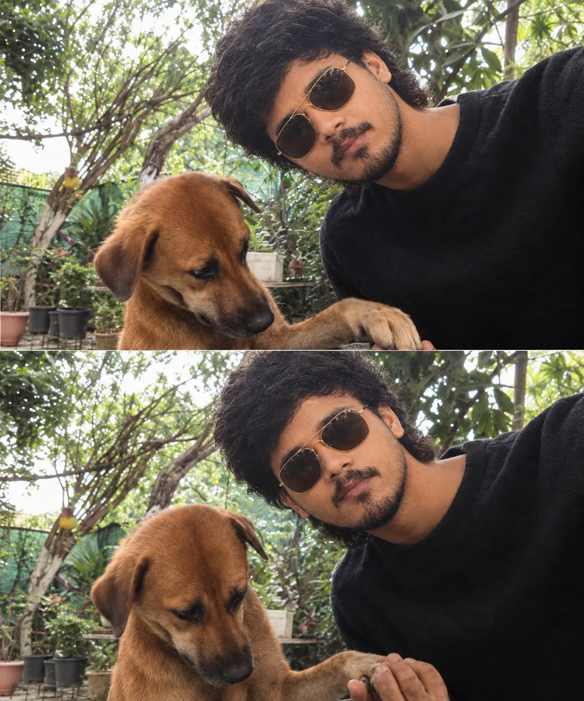 Unspoken Bond — Man & His Best Friend