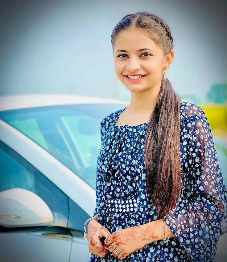 Radiant Henna Hands Ethnic Elegance, Joyful Braided Crown Kurti Aesthetic, Charming Side Ponytail Floral Daytime Portrai