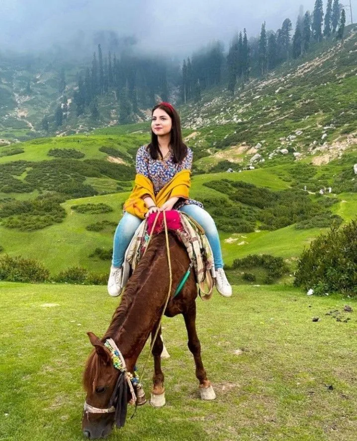 Misty Mountain Horse Ride