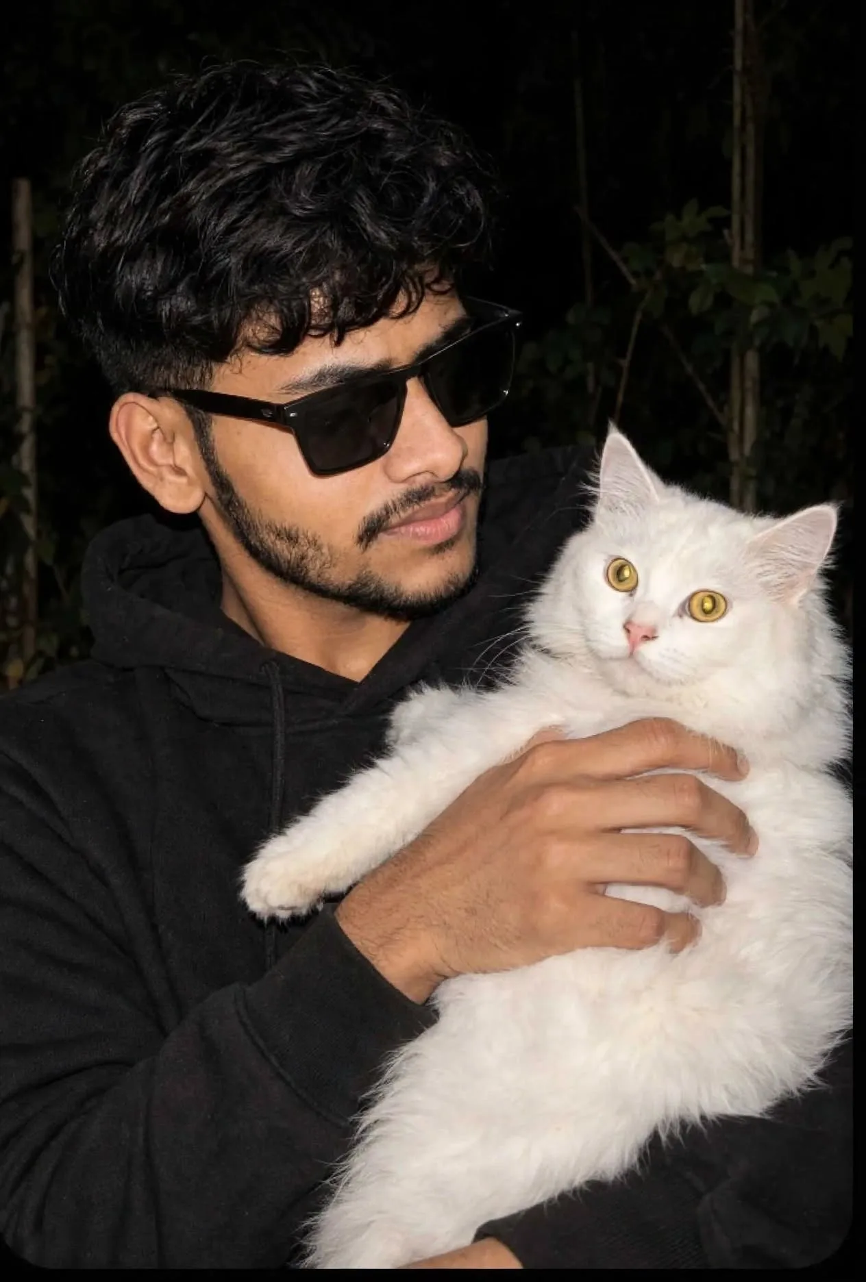 Night Flash Portrait with White Cat