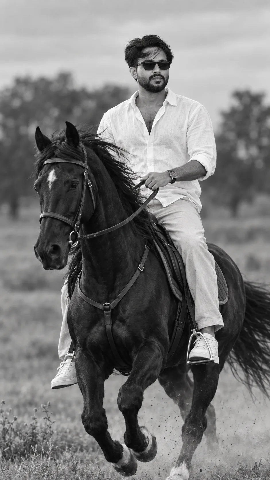 Royal Ride