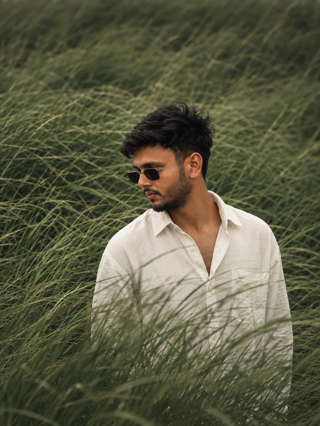 grassland