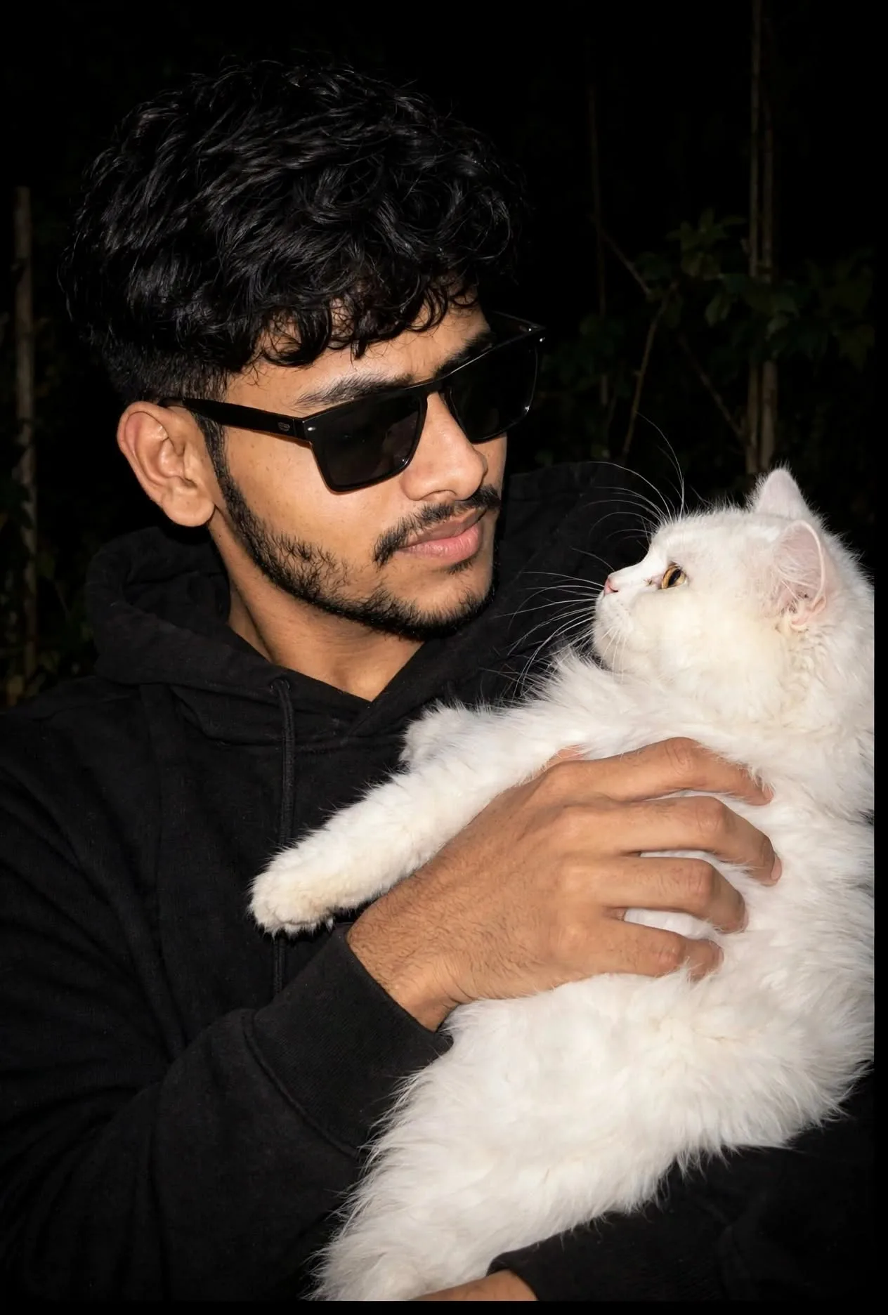 Night Flash Portrait with White Cat