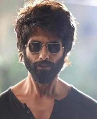 Kabir Singh Prompt